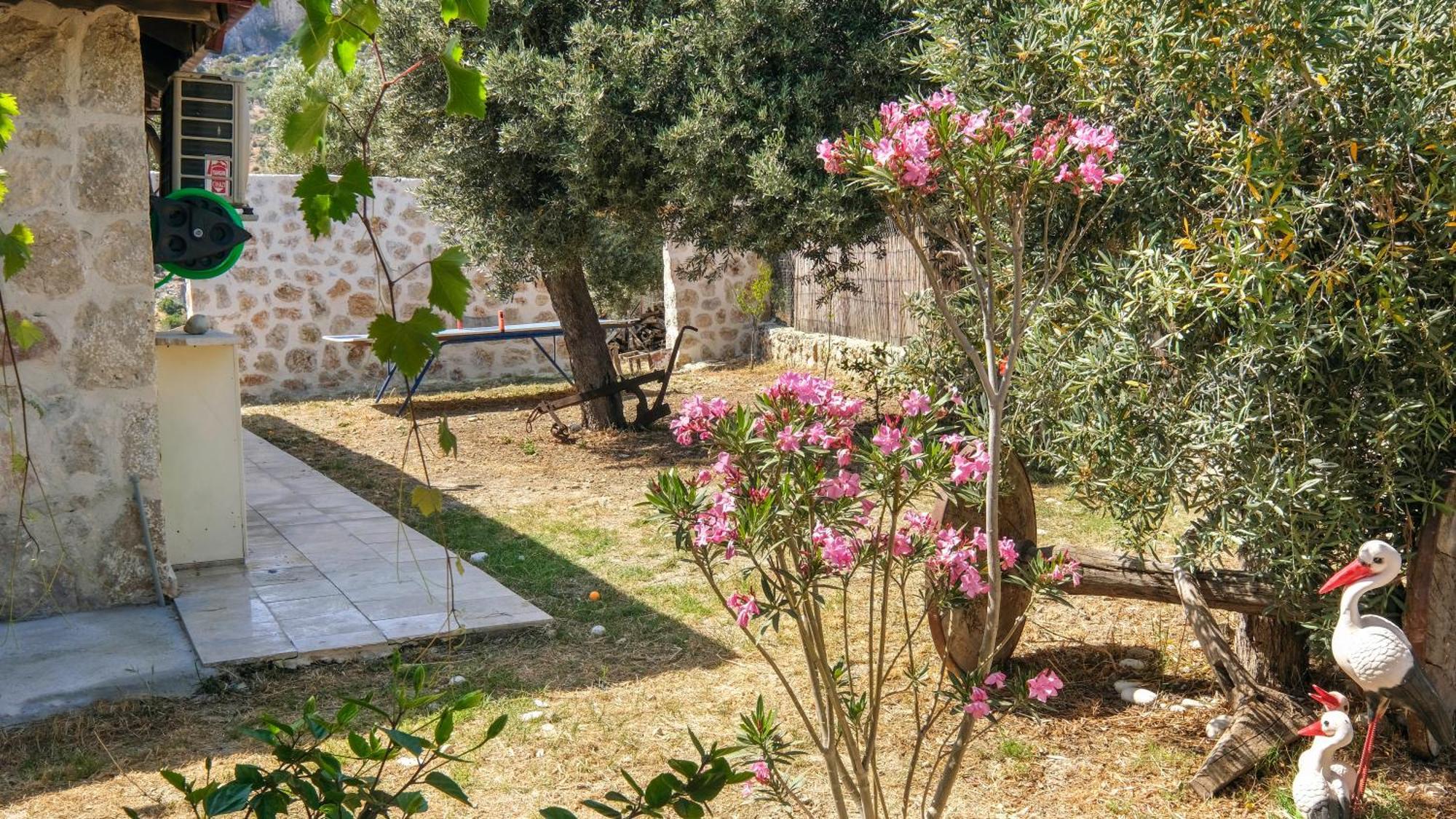 Likya House - Deniz Ve Doga Manzarali, Havuzlu Villa Patara Exterior foto