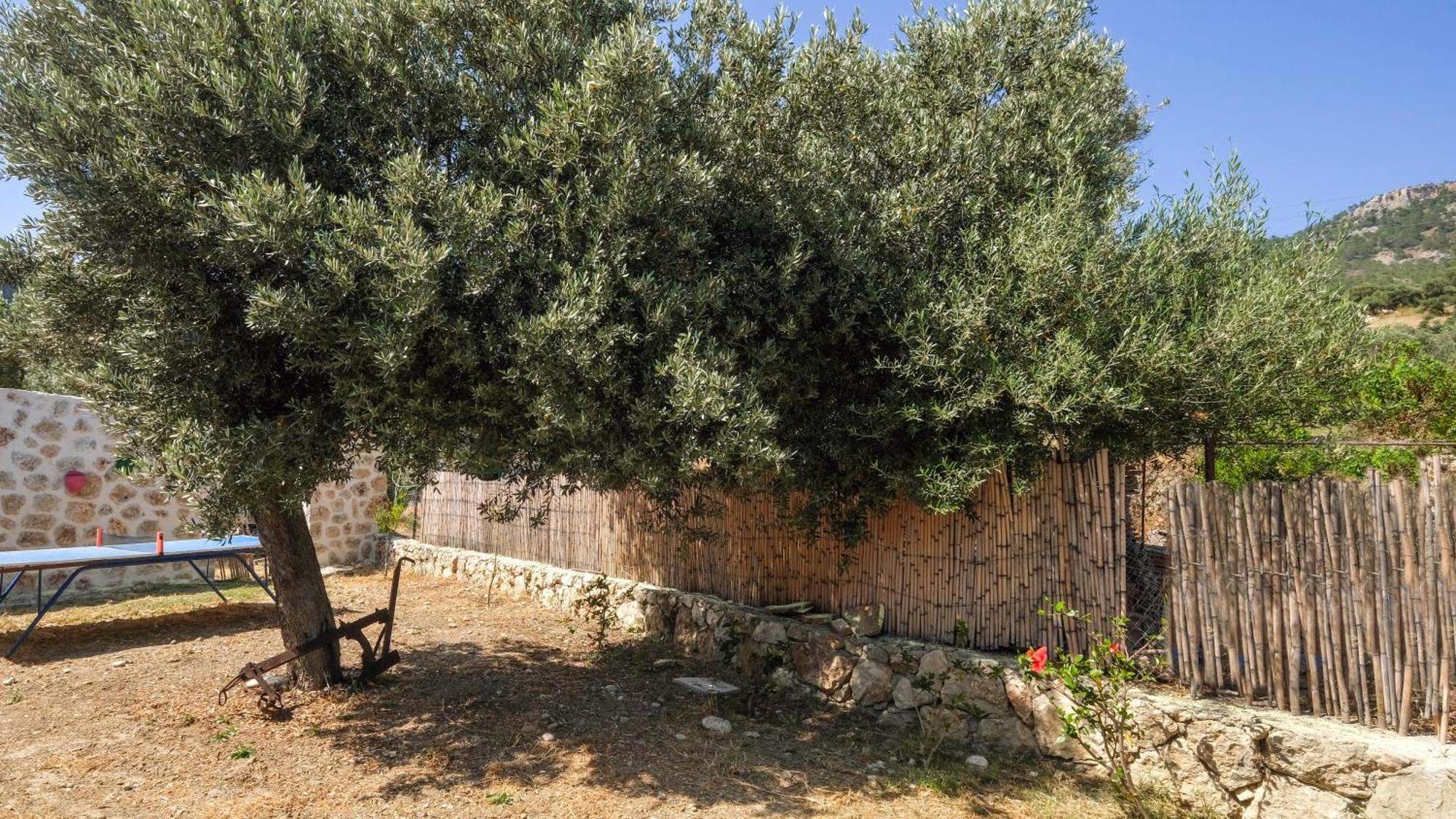 Likya House - Deniz Ve Doga Manzarali, Havuzlu Villa Patara Exterior foto